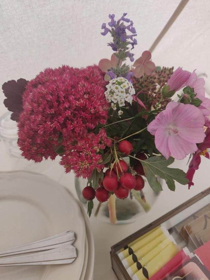 스카이바프 Glamping Och Gardslagenhet Mellan Himmel Och Hav 아파트 외부 사진